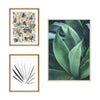 Sylvie Tropical Wanderlust Botanical Wall Art Framed Canvas Set