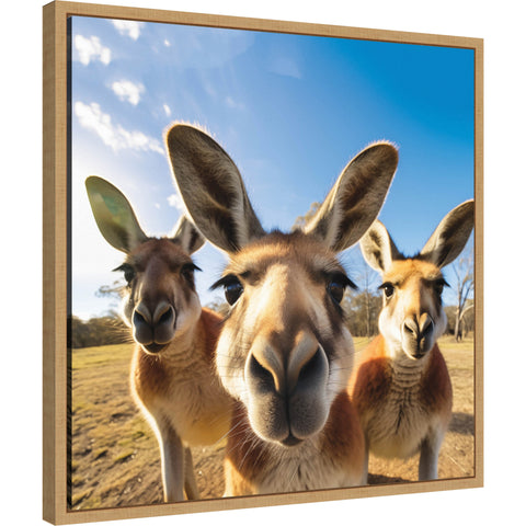 Funny Kangaroo Selfie by The Creative Bunch Studio