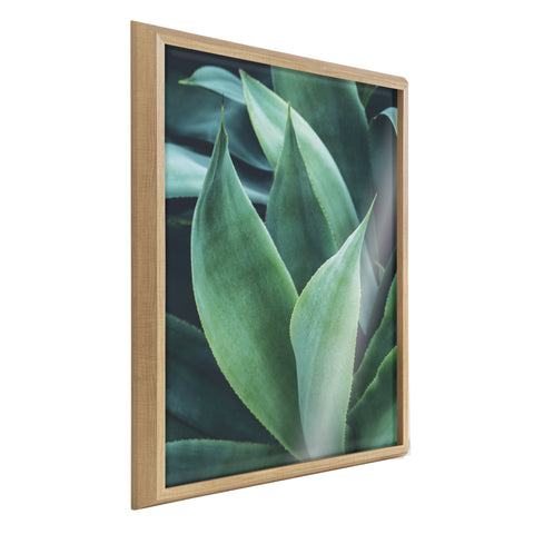 Blake Agave II Framed Printed Art by Emiko and Mark Franzen of F2Images