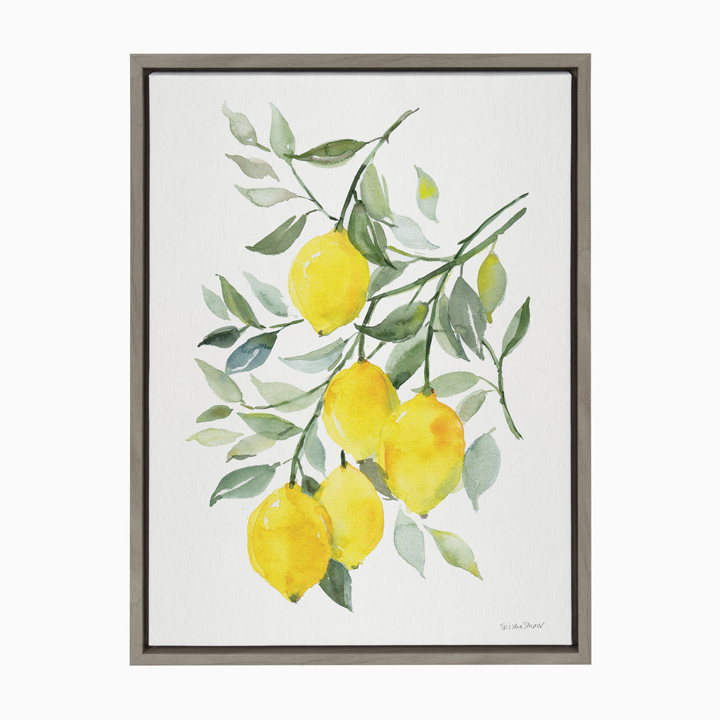 Kate and Laurel Sylvie Lemon Citrus Framed Canvas Wall Art by Patricia  Shaw, 18x24 Natural, Colorful Bright Yellow Fruit Art for Wall –  kateandlaurel