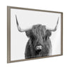 Blake Highland Cow Portrait Framed Printed Art by Amy Peterson Art Studio