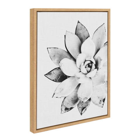 Sylvie Succulent Framed Canvas by Tai Prints