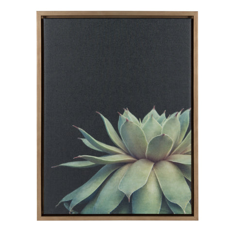 Sylvie Succulent Framed Canvas by F2 Images