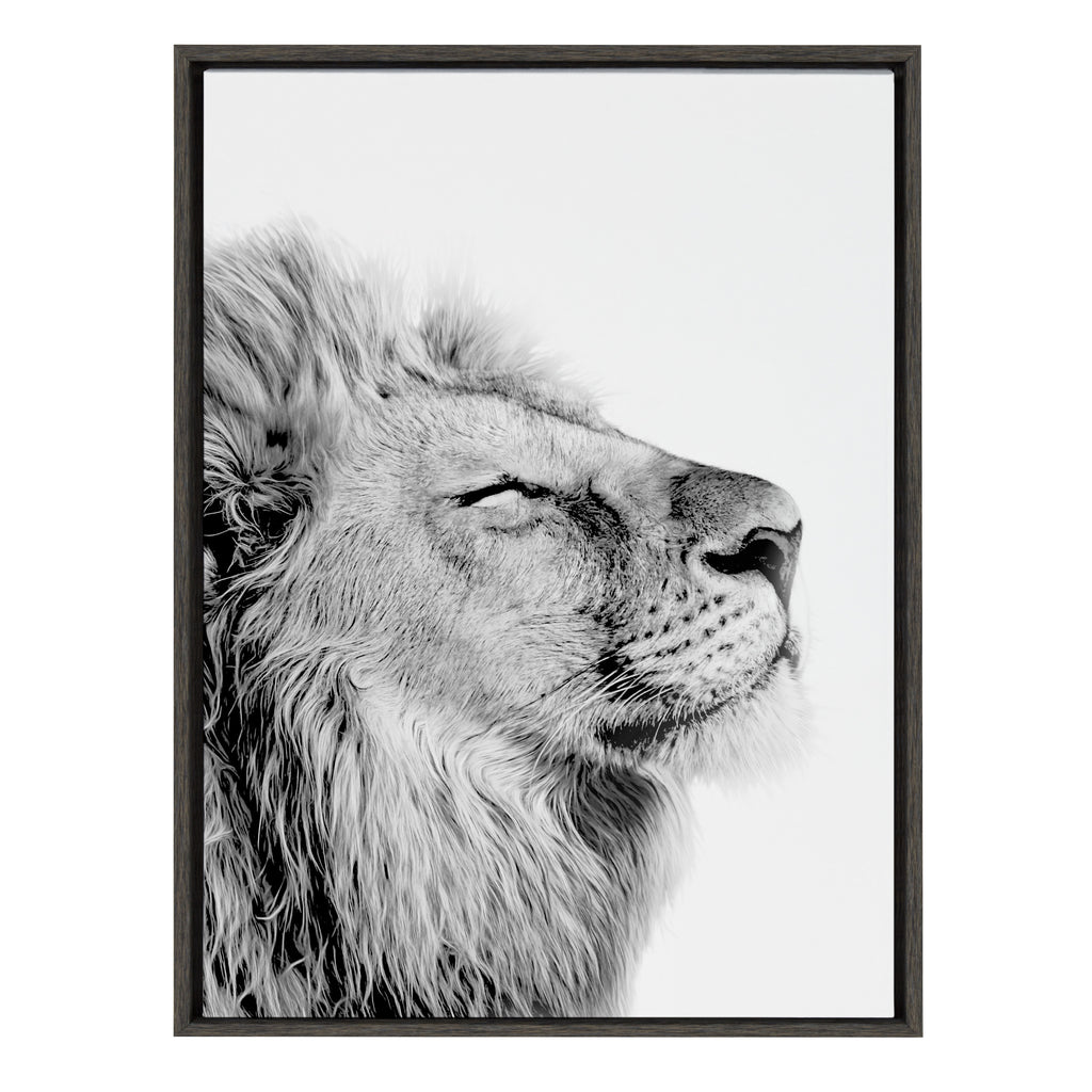 Kate and Laurel Sylvie Lion Self Actualizing Framed Canvas Wall Art by Amy  Peterson Art Studio, 18 x 24 Gray, Animal Art For Nursery And Other Décor –  kateandlaurel