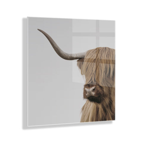 Highland Cow Portrait Close Crop Floating Acrylic Art by The Creative Bunch Studio