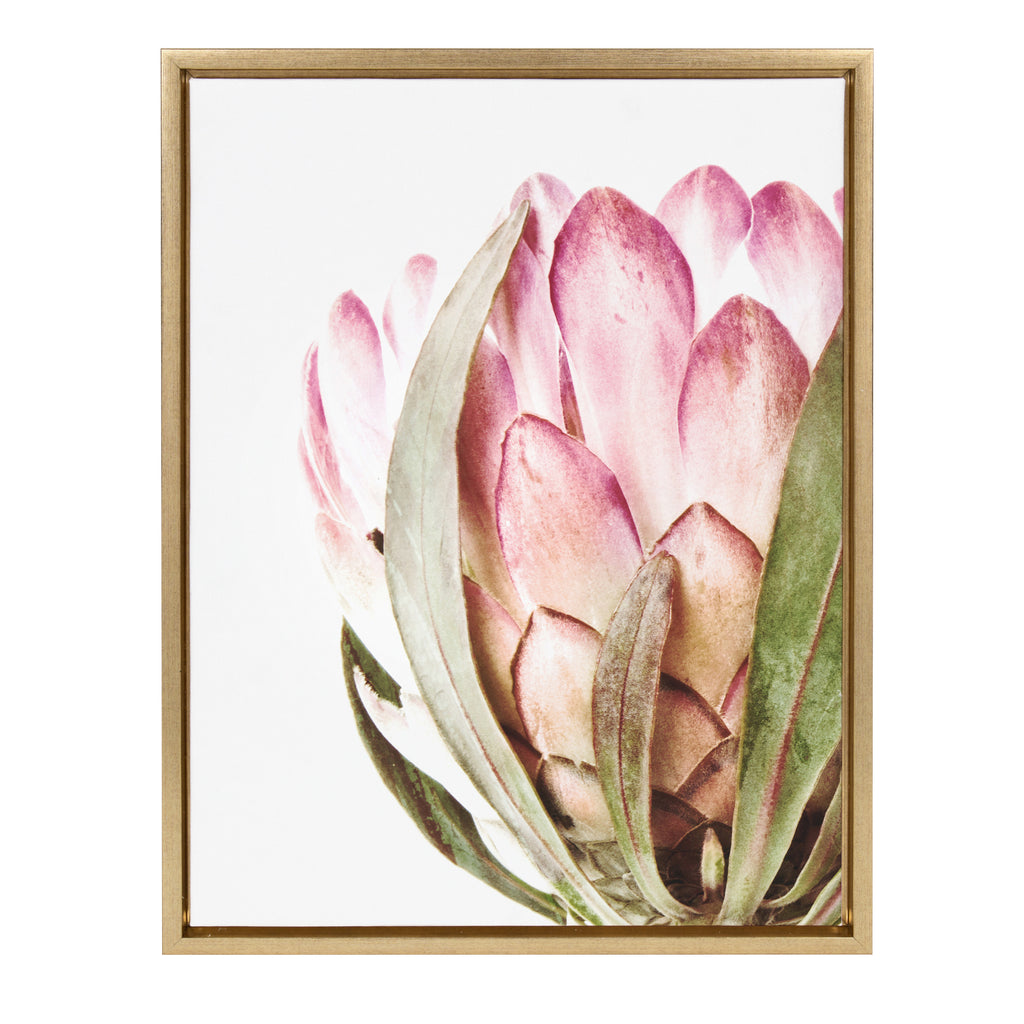 Kate and Laurel Sylvie Pink Protea Flower Framed Canvas Wall Art by Amy  Peterson Art Studio, 28 x 38 Gold, Oversized Minimalist Floral Art –  kateandlaurel