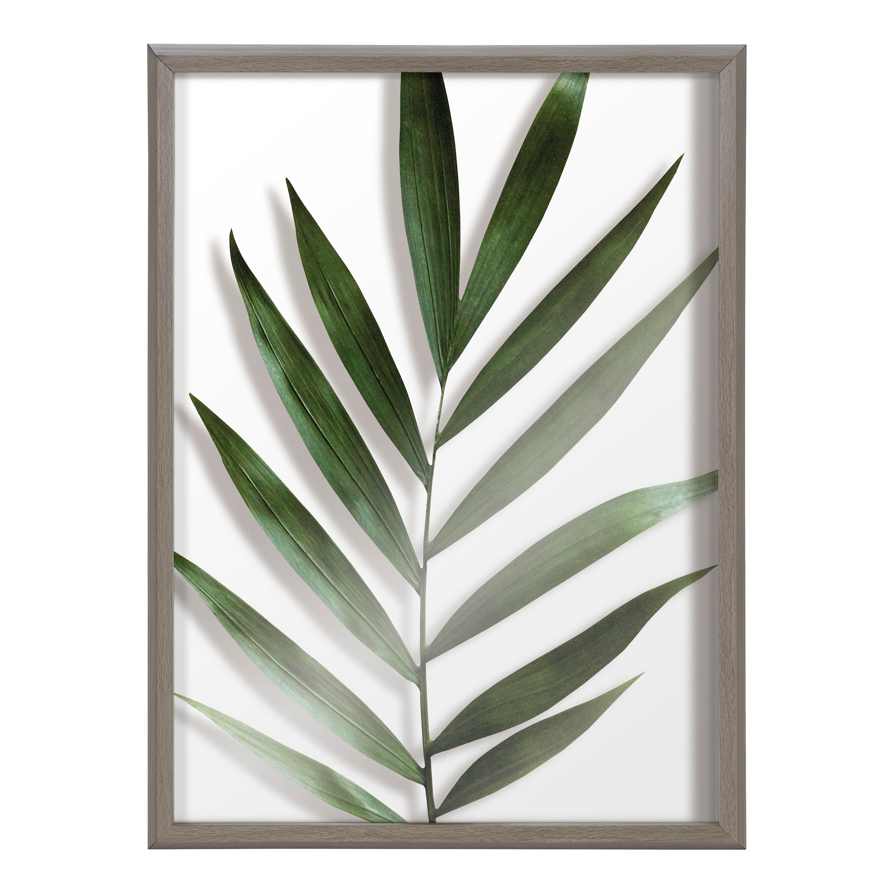 Kate and Laurel Blake Botanical 5F Framed Printed Glass Wall Art by Amy ...