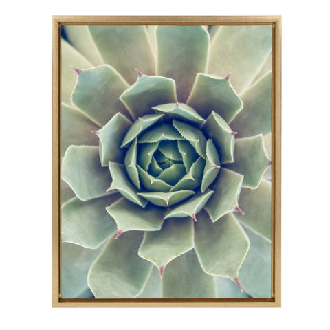 Sylvie Succulent 1 Framed Canvas by F2 Images