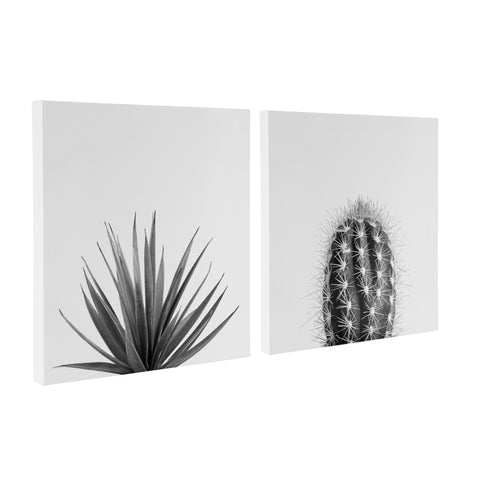 Succulent Canvas Art Set by The Creative Bunch Studio