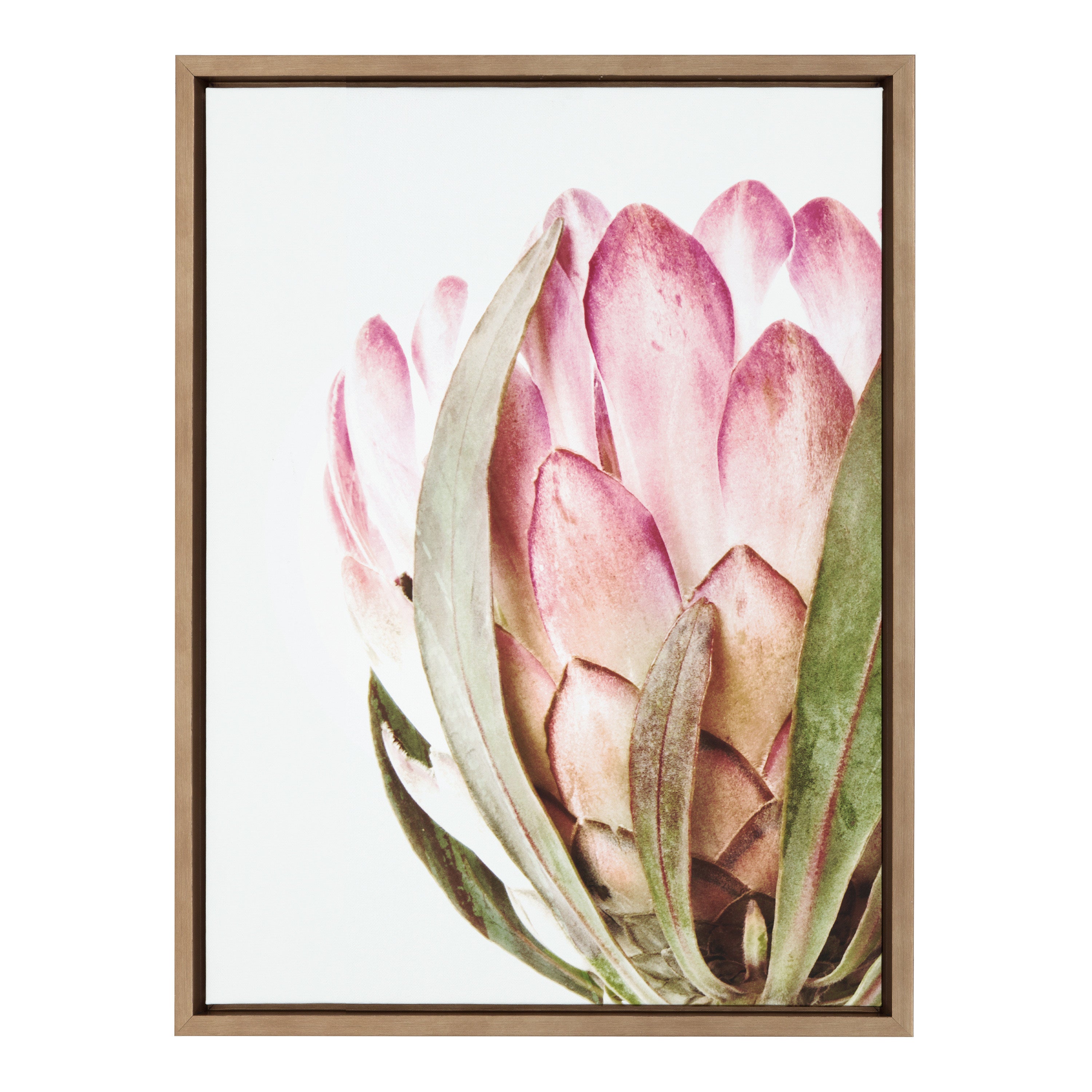 by Kate 28 Art x Minimalist kateandlaurel – Protea Framed Pink Peterson Laurel Sylvie 38 and Floral Canvas Oversized Flower Wall Art Art Gold, Amy Studio,
